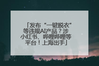 发布“一键脱衣”等违规AI产品？涉小红书、哔哩哔哩等平台！上海出手