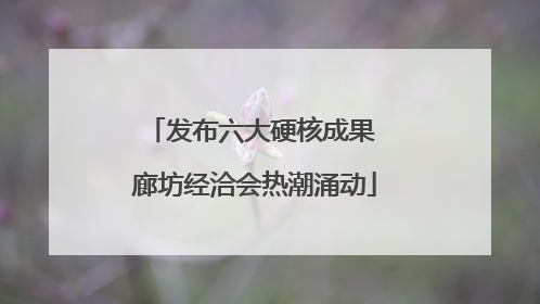 发布六大硬核成果 廊坊经洽会热潮涌动