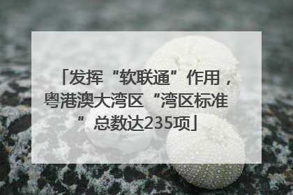 发挥“软联通”作用，粤港澳大湾区“湾区标准”总数达235项