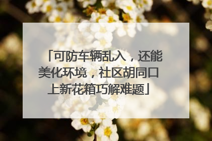 可防车辆乱入，还能美化环境，社区胡同口上新花箱巧解难题