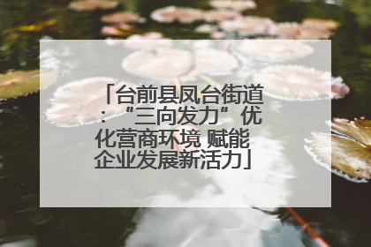 台前县凤台街道：“三向发力”优化营商环境 赋能企业发展新活力