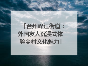 台州峰江街道：外国友人沉浸式体验乡村文化魅力