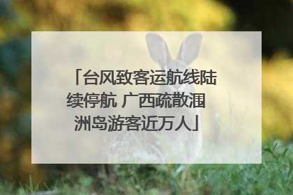 台风致客运航线陆续停航 广西疏散涠洲岛游客近万人