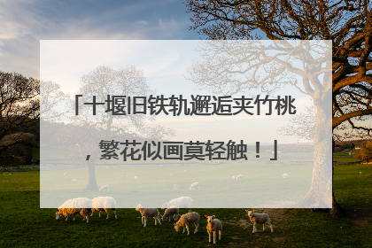十堰旧铁轨邂逅夹竹桃，繁花似画莫轻触！
