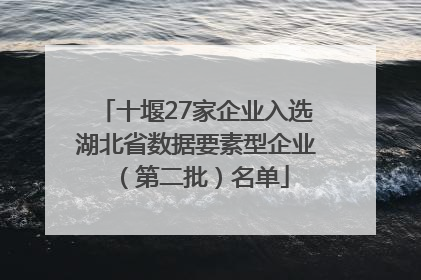 十堰27家企业入选湖北省数据要素型企业（第二批）名单