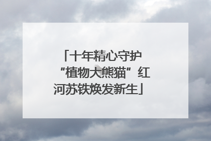 十年精心守护 “植物大熊猫”红河苏铁焕发新生