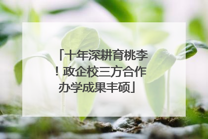 十年深耕育桃李！政企校三方合作办学成果丰硕