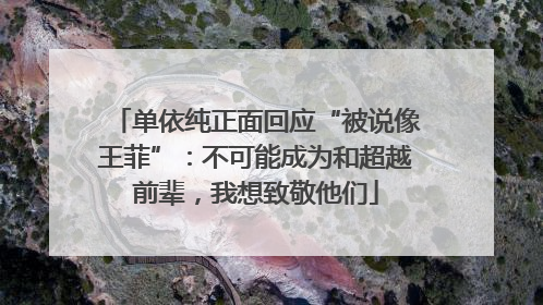 单依纯正面回应“被说像王菲”：不可能成为和超越前辈，我想致敬他们