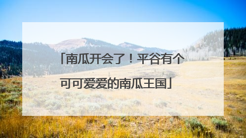 南瓜开会了！平谷有个可可爱爱的南瓜王国