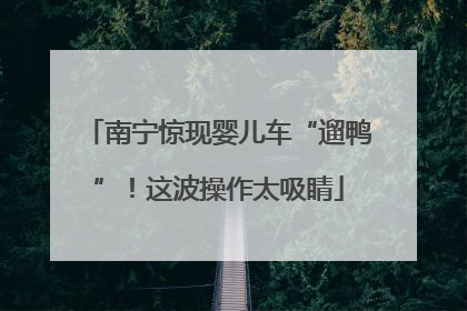 南宁惊现婴儿车“遛鸭”！这波操作太吸睛