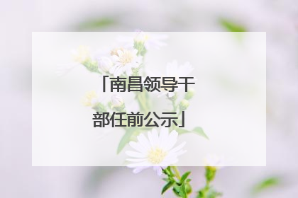 南昌领导干部任前公示