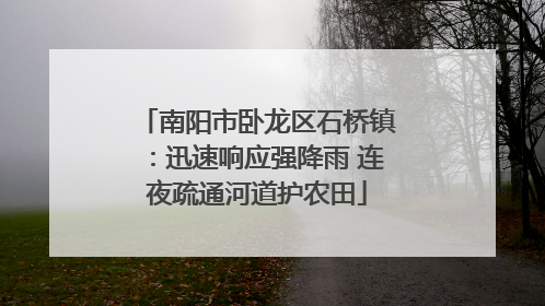 南阳市卧龙区石桥镇：迅速响应强降雨 连夜疏通河道护农田