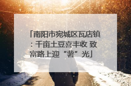 南阳市宛城区瓦店镇：千亩土豆喜丰收 致富路上迎“薯”光