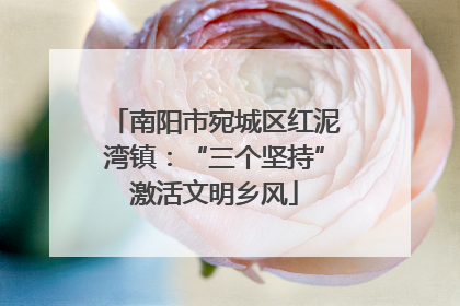 南阳市宛城区红泥湾镇：“三个坚持”激活文明乡风