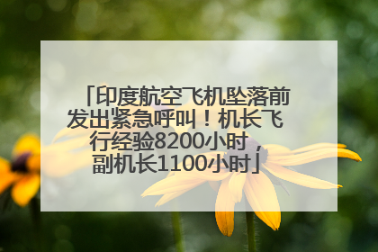 印度航空飞机坠落前发出紧急呼叫！机长飞行经验8200小时，副机长1100小时