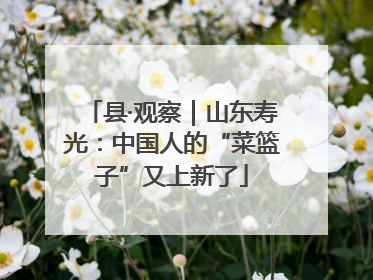 县·观察｜山东寿光：中国人的“菜篮子”又上新了