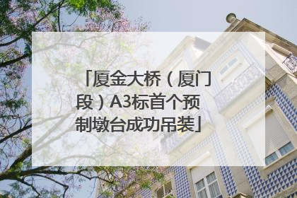 厦金大桥（厦门段）A3标首个预制墩台成功吊装