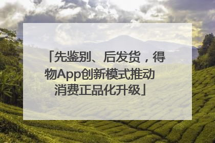 先鉴别、后发货，得物App创新模式推动消费正品化升级
