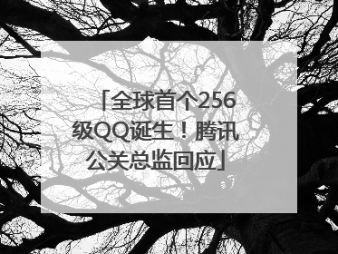 全球首个256级QQ诞生！腾讯公关总监回应