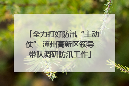 全力打好防汛“主动仗” 漳州高新区领导带队调研防汛工作