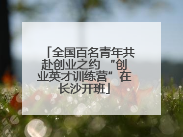 全国百名青年共赴创业之约 “创业英才训练营”在长沙开班