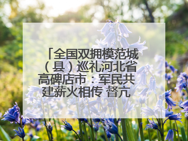 全国双拥模范城（县）巡礼河北省高碑店市：军民共建薪火相传 督亢大地鱼水情深