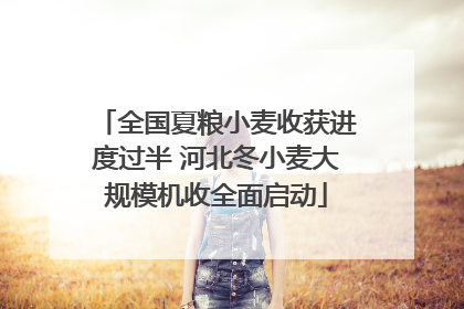 全国夏粮小麦收获进度过半 河北冬小麦大规模机收全面启动