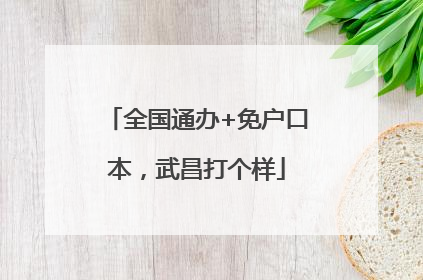 全国通办+免户口本，武昌打个样