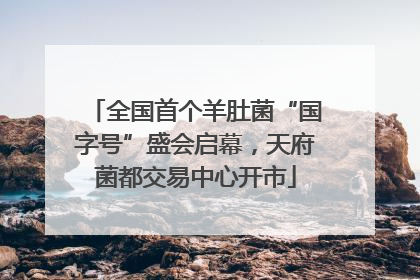 全国首个羊肚菌“国字号”盛会启幕，天府菌都交易中心开市