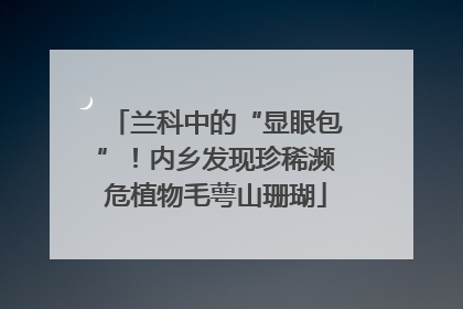 兰科中的“显眼包”！内乡发现珍稀濒危植物毛萼山珊瑚