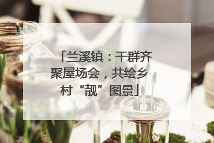 兰溪镇：干群齐聚屋场会，共绘乡村“靓”图景