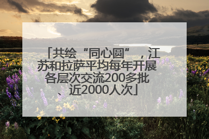 共绘“同心圆”，江苏和拉萨平均每年开展各层次交流200多批、近2000人次