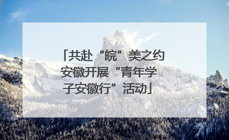 共赴“皖”美之约 安徽开展“青年学子安徽行”活动