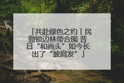 共赴绿色之约丨民勤锁边林带合围 昔日“和尚头”如今长出了“披肩发”