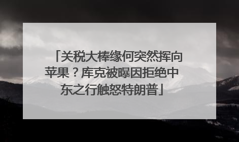 关税大棒缘何突然挥向苹果？库克被曝因拒绝中东之行触怒特朗普