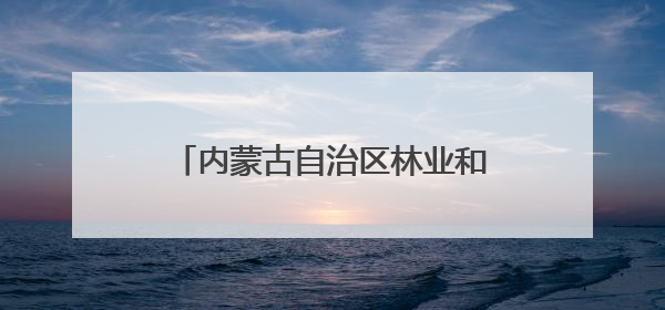 内蒙古自治区林业和草原局党组书记、局长：牢记嘱托，奋力打好“三北”工程攻坚战