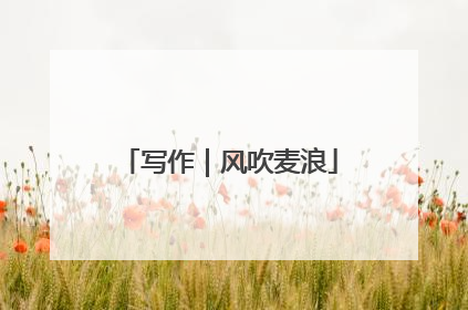 写作｜风吹麦浪