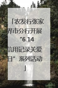 农发行张家界市分行开展“6.14 信用记录关爱日”系列活动