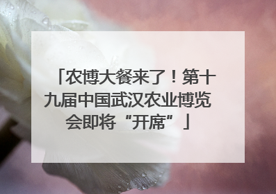 农博大餐来了！第十九届中国武汉农业博览会即将“开席”