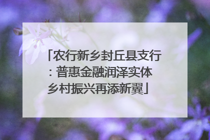 农行新乡封丘县支行：普惠金融润泽实体 乡村振兴再添新翼