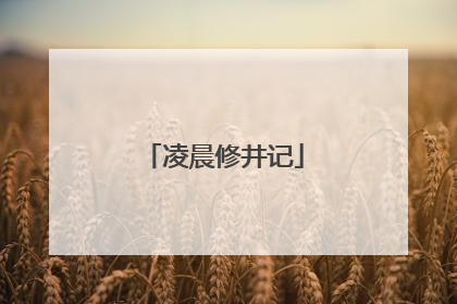 凌晨修井记