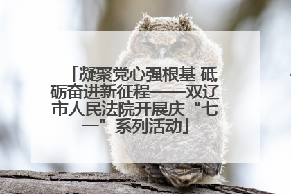 凝聚党心强根基 砥砺奋进新征程——双辽市人民法院开展庆“七一”系列活动