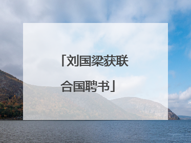 刘国梁获联合国聘书