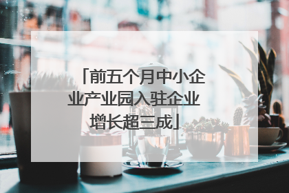 前五个月中小企业产业园入驻企业增长超三成