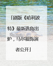 剧版《哈利波特》最新选角出炉，马尔福饰演者公开