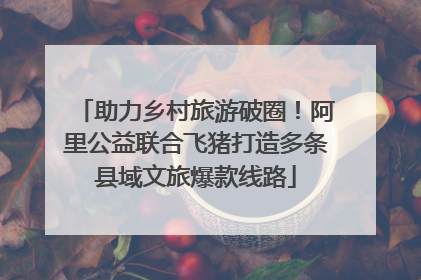 助力乡村旅游破圈！阿里公益联合飞猪打造多条县域文旅爆款线路