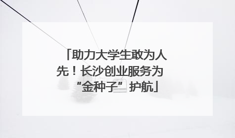 助力大学生敢为人先！长沙创业服务为“金种子”护航