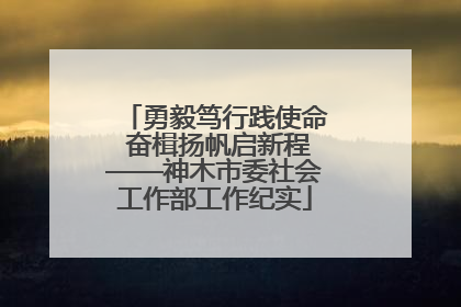 勇毅笃行践使命 奋楫扬帆启新程——神木市委社会工作部工作纪实