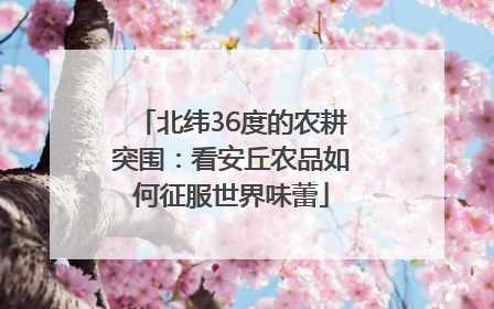 北纬36度的农耕突围：看安丘农品如何征服世界味蕾