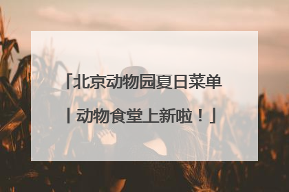 北京动物园夏日菜单丨动物食堂上新啦！